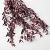 20PC Dried Flowers g Dry Flower Eucalyptus Branches Leaves Bouquet Home Decor DIY Artificial Natural Plants Wedding Table Deco Y