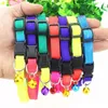 New Rainbow Dog Cat Bell Collar Adjustable Outdoor Comfortable Nylon Pet Collars For Small Dogs Puppies Pet supplier