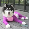 2020 nouveau grand chien vêtements dessin animé pyjamas pour Gril garçon chiens manteau 4 jambes chien combinaison sweat bouledogue chien vêtements animaux 44 gilet manteau