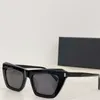 Hot Retro Eyewear Womens for Women Square Cat Eye Design Ladies Sunglasses Fashion Sun Glasses Uv400 Protect Lenses Come with Original Case