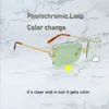 Logres de soleil coupées de diamant Couleur Pochromic Couleur Changement de deux couleurs Lenses 4 Saison Carter Y2k Mens Shades Eyewear265b