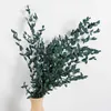 20PC Dried Flowers g Dry Flower Eucalyptus Branches Leaves Bouquet Home Decor DIY Artificial Natural Plants Wedding Table Deco Y