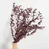 20PC Dried Flowers g Dry Flower Eucalyptus Branches Leaves Bouquet Home Decor DIY Artificial Natural Plants Wedding Table Deco Y