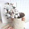 20PC Dried Flowers Naturally Cotton Flower Artificial Plants Floral Branch For Wedding Party Decoration Fake Home Decor Y