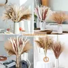 20pc Flores secas Pampas Grass Reed Flores Decoração artificial Fleur Artificielle Fleurs Sechees Decoração de casa