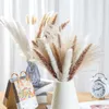 20 PZ Fiori Secchi pcsset Naturale Bouquet Disposizione Dry Pampas Erba Canna Marrone Alto Per La Decorazione di Nozze Home Decor Y