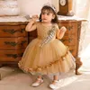 Girl Dresses Gold Baby Kids Infant Flower Princess Party Tutu Gowns Children Wedding Bridesmaid Toddler Pearls Dress Vestidos Clothe