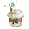 Wiszący szklany szklany wazon w kształcie grzybów Rumble Tank Terrarium Pojemnik domowy dekoracje ogrodowe 210409187W