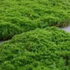 Flores decorativas Moss La césped Muro de césped verde planta falsa de bricolaje Junta de césped artificial Casa de bodas El fondo de la ventana decoración de la ventana