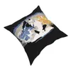 Oreiller Avatar le dernier maître de l'air Wan taie d'oreiller décoration couverture jeter pour salon Polyester Double face impression/décor
