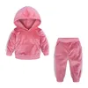 Clothing Sets Winter Children Clothing Baby Girls Clothes Set Velvet Solid Boys Clothes Hoodies SweatshirtPants Tracksuit Suits For Kids 230208