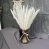 Decorative Flowers Dekoration Dried Plants Pampas Grass Flower Beautiful Reed Christmas Home Office Wedding Decoration Phragmites