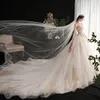 Elegant en linje bröllopsklänningar från axelfjärilen applicerade brudklänningar paljetter plus storlek svep tåg boho vestido de novia crystal brud robes de marieee