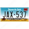 Amerikanisches Nummernschild, Metallgemälde, Hawaii, New York, Kalifornien, Autonummer, Metall-Nummernschild, Wanddekoration, Bar, Kneipe, Garage, Wanddekoration, schicke Blechschilder, 30 x 15 cm, w01