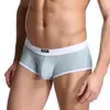 Caleçon Marque Homme Boxers Shorts Sexy Hommes Sous-Vêtements Pénis Gay Nylon Culotte Érotique Sissy Lingerie Hommes Mâle