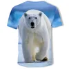 Magliette da uomo Magliette da uomo estive Stampa 3D Maglietta da scimmia animale Maglietta a maniche corte Divertente Design panciuto Casual Top Tees Abbigliamento