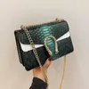 Conception sac magasin pas cher liquidation en gros s femmes 2023ins nouvelle mode Dionysian Crocodile motif Wtern chaîne épaule