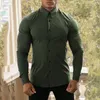 Men's Dress Shirts Spring Autumn Fashion Long Sleeve Shirt Men Super Slim Fit Classic Turn-down Single Breasted Casual Business Work