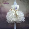 女の子のドレス結婚式のための白い赤ちゃんの花