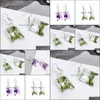 Charm Dried Flower Earrings Creative Plant Dry Clover Earring Fashion Pressed Glass Earin Drop Delivery Jewelry Dhscf