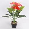 Dekorativa blommor högkvalitativ simulering Big Anthurium Flower Wholesale Home Garden Diy Living Room El Company Dekoration Props POGRAPI