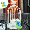 Bowls Toy Bird Parrot Foraging Toys Training Cage Parakeet Wheel Pet Feeder Feeding Plaything Intelligence Conures levererar Intressant