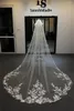 Véu de noiva de 300 cm de casamento véu com pente de tule macio renda 3d apliques florais de uma camada Comprimento da catedral