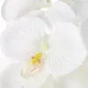 Dekorativa blommor kransar Magideal 6x 93cm Artificial Phalaenopsis Orchid Flower Plant Home Cafe Decor1