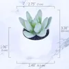 Fleurs décoratives Ornement Pography Props Scène Modèle Simulation Aloe En Pot Faux Verdure Artificielle Succulente Bonsaï Plantes Réalistes