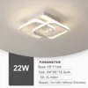 Nowoczesne przejście LED 2 Pierścienie Nordic Corridor Lampa sufitowa do domu domowego salonu 22W Montowane Balkon Monted LED 0209