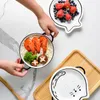 Skålar djur handmålad keramisk binaural soppa med lock söt student sovsal omedelbar nudel risskål
