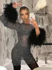 Casual Dresses Fashion Sexy Feather Patchwork Long Sleeve Mesh Dress Women Spring SeaThrough BodyCon Package Hip Party Night Club Dresses 230209