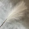 Decorative Flowers Medium Branch 7-Fork Artificial Flower Feather Phoenix Tail Reed Wedding Fluffy Peacock Grass Road Guide