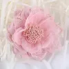 Decorative Flowers 10pcs Flower Patches Hand Stitch On Applique For Clothes Embroidered Clothing DIY Motif Stripes Hair Clips Bow