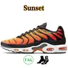 2023 TN plus hardloopschoenen maat 12 tns Men Men Women Unity Triple Black Hyper Jade University Blue Oreo Wild Prints Sky Psychic Grape Trainers