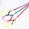 Dog Collars Adjustable Collar Leashes With Bell Colorful Pet Cat Puppy Lead Daily Training Walking Outdoor Durable Traction Rope 120cm