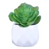 Decorative Flowers Ornament Pography Props Scene Model Simulation Aloe Potted Faux Greenery Artificial Succulent Bonsai Lifelike Plants