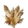 Decoratieve bloemen Gedroogd pampas gras decor - 40 pc's natuurlijke pompas bloemen/ pompeuze boho -plant voor bloemstukken bruiloft