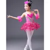 Stage Wear Rose Bleu Paillettes Enfants Blanc Swan Lake Pancake Ballet Professionnel Tutu Robe Dancewear Filles Salle De Bal Danse Costume Vêtements