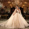 Impresionantes vestidos de novia de una línea de princesa para mujeres árabes Mangas largas transparentes Apliques de encaje Deshuesado expuesto Vestidos de novia de Dubai Robe De Marriage rabic pplique