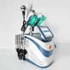 Vendite 2023 Hot Cryo 360 Cryolipolysis Prezzo dimagrante Macchina per la rimozione del grasso Cryolipolysis Cryotherapy Macchina dimagrante Congelamento del grasso Cavitazione 40k Rf Viso e corpo