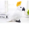 Symulacja matowa król Kong Parrot Plush Animal Animal Machine Machine Bird Prezenty