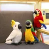 Symulacja matowa król Kong Parrot Plush Animal Animal Machine Machine Bird Prezenty