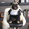 犬のアパレルブラックドッグスコスチュームスクールボーイコスプレスーツペット服ディスフラズペロS-XLドロップサポートのための面白いパーティー