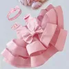 2023 Abiti da ragazza Vestito da bambina nata 1 anno 1 ° festa di compleanno Battesimo Vestiti rosa 9 12 mesi Abiti soffici per bambini Vestido Bebes