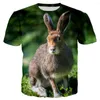 Heren t shirts s jagen gekke hare mannen/vrouwen mode coole 3D geprinte t-shirts casual stijl t-shirt streetwear tops