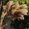 Decoratieve bloemen Gedroogd pampas gras decor - 40 pc's natuurlijke pompas bloemen/ pompeuze boho -plant voor bloemstukken bruiloft