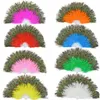 Party Supplies Fluffy Feather Hand Fan Stage Performances Craft Fans Elegant Folding Feathers Fan SN5106