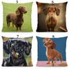 Yastık /Dekoratif Dachshund Baskı Kapağı Köpek Ev Dekoratif Yastıklar Kılıf 45x45cm DWG015 /Dekoratif