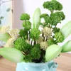 Fleurs décoratives Couronnes 24Styles Vert Flocage Plantes Succulentes Artificielles Bonsaï Bureau Faux Saint Valentin Décoration De Mariage